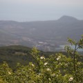 IMG_4822