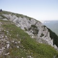 IMG_4914