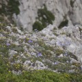 IMG_4917