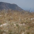 IMG_5000