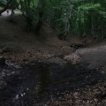 IMG_5190