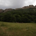 IMG_5193