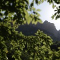 IMG_5207
