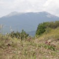 IMG_5250