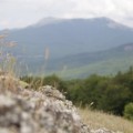 IMG_5263