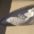 IMG_3448