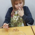 IMG_9047
