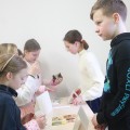 IMG_0809