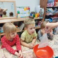 Изображение WhatsApp 2024-01-12 в 19.22.28_39dc59e9