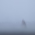 IMG_1515
