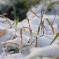 IMG_1662
