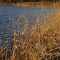 IMG_1676