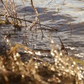 IMG_1691