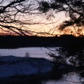 IMG_1827
