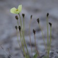 IMG_7398