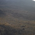 IMG_7647