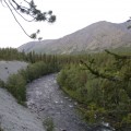 IMG_7771