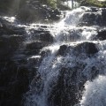 IMG_7800