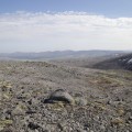 IMG_7903