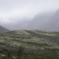IMG_8413