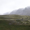 IMG_8445