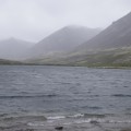 IMG_8452