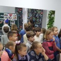 IMG_5893