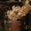 IMG_6092